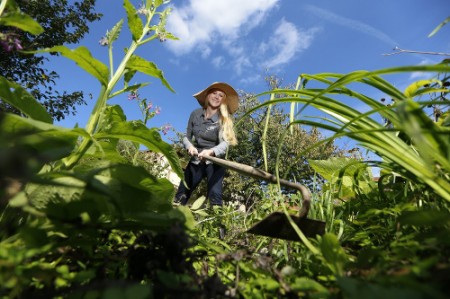 Bild des Monats Juni Zecken-Gefahr im Garten