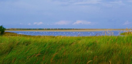 Nationalpark Zingst_1