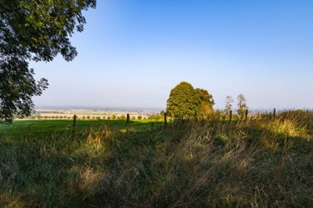 Foto_ott----Paderborner-Lan