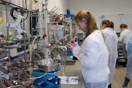 Konzentriert: Schülerin Anna Stroop bei den Vorbereitungen für die Herstellung von Calciumsulfat.