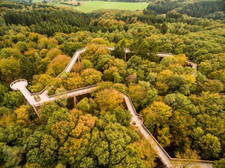 Luftbild des barrierefreien Baumwipfelpfads mit einer Gesamtlauflänge von 1.635 Metern.Foto: Tourismus NRW e.V. / Dominik Ketz
