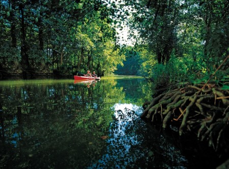 Paddeltour durch urw¸chsigen Wald, Peene, Vorpommern, Foto TMV