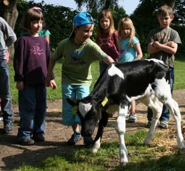 Internationaler-Tag-der-Milch