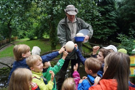  Das größte Ei der Welt - erfuhren die Kinder von Vogelpark-Mitarbeiter Jörg Schnacke - ist das Straußenei. Sein Inhalt entspricht ca. 20 Hühnereiern.
