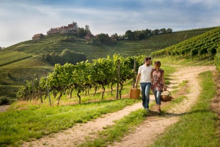 Durbach ist ein wahres Paradies für Wanderfreunde.