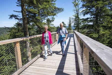 Der Baumwipfelpfad ist die Besucherattraktion auf dem Sommerberg.