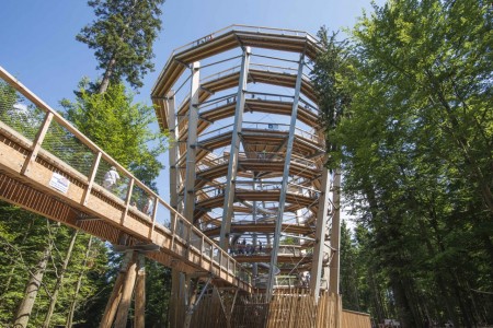 Der 40 Meter hohe Turm bietet einen grandiosen Rundblick über Wipfel und Tannen.