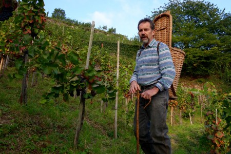 Geführte Wanderungen auf dem Engelsberg bietet der Förderverein an. Foto: Klaus Ottenberg
