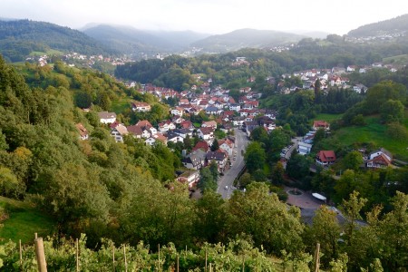 Die Gemeinde Bühlertal hat eine jahrhundertalte Weinbautradition vorzuweisen. Foto Klaus Ottenberg