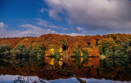 erthasee, Foto: TourismuszentraleRügen/ Christian Thiele
