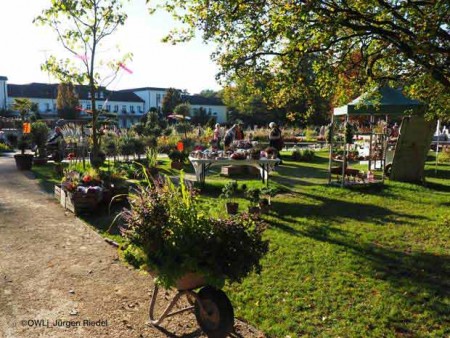 LGS_Bad-Lippspringe_2017_1