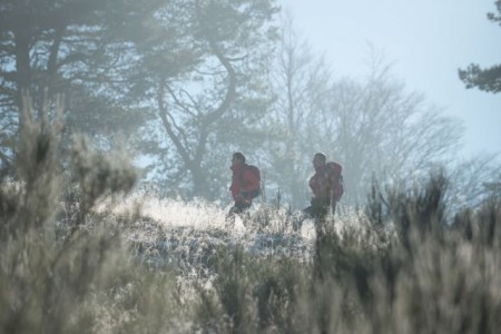 Wanderer am Rothaarsteig .Foto © Rothaarsteigverein; Klaus-Peter Kappest