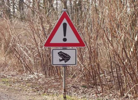 Die Amphibienwanderung in Minden: Autofahrer müssen aufpassen. Foto: © Stadt Minden