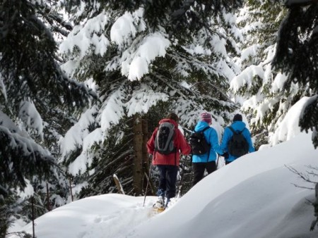 Schneeschuhwandern 2018