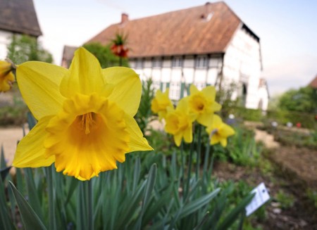 Pünktlich zu Ostern startet das LWL-Freilichtmuseum Detmold in die neue Saison. Foto: © LWL/Jähe