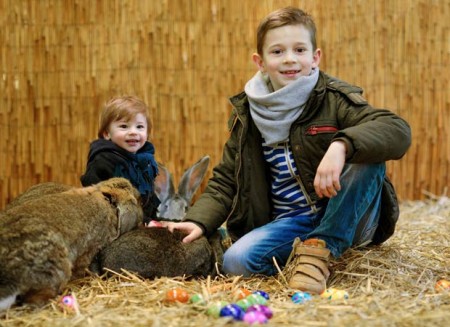 Carlo (links) und Roby heißen die Kaninchen im Zoo Safaripark willkommen. Foto: © Pressestelle Zoo Safaripark 