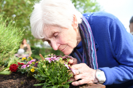Eine Nase Blumenduft: Ingeborg Meyer genießt das Angebot Gartengruppe mit allen Sinnen.Foto: Johanneswerk / Christian Weische 