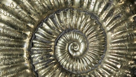 Faszination edler Steine und Mineralien in Porta Westfalica