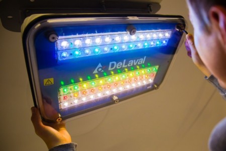 Ein Exponat der FH Bielefeld, das auf der Hannover Messe ausgestellt wird, sind LED-Beleuchtungssysteme für die Nutztierhaltung.