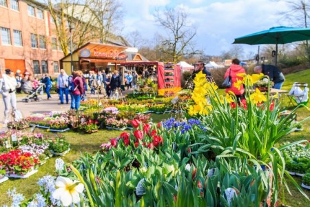 Frühjahrsmarkt 2018_ Thorsten Hübner 