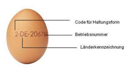  Die aufgestempelte Nummer auf dem Ei schafft bei Bielefeldern mehr Klarheit beim Einkauf über Erzeugerland und Haltungsform. (Quelle: ZDG Zentralverband der Deutschen Geflügelwirtschaft).