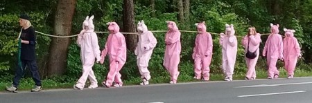 02_IMG_20180428_131516402-2