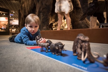 Museumspädagogik, Ausstellung Vom Kommen und Gehen, LWL-Museum für Naturkunde