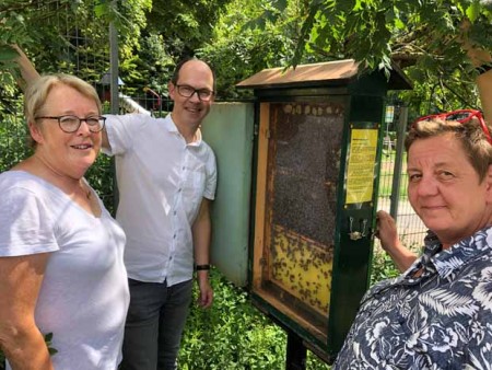Betrachten die Bienen (von links): Imkerin Ingrid Dirkwinkel, BBF-Prokurist Dr. Hans-Jürgen Stern und Martina Brand vom Förderverein Naturbad Brackwede.