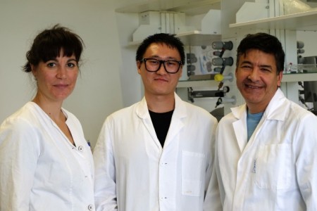 Bilden das Projektteam an der FH Bielefeld (v.l.): Dr. Désirée Jakobs-Schönwandt, Doktorand Yi Qu und Prof. Dr. Anant Patel. Foto: FH Bielefeld