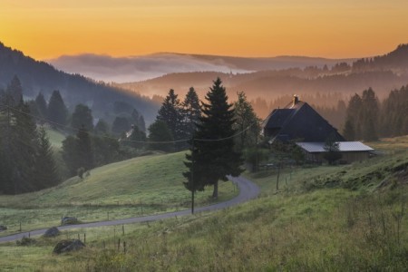 Schluchsee Blasiwald, Foto: © Hochschwarzwald Tourismus GmbH