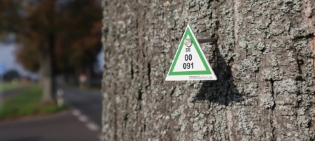Jeder Baum wird mit einer Marke versehen auf der eine Nummer steht. Mit dieser Nummer kann der Baum im digitalen Baumkataster gefunden werden. Foto: Kreis Gütersloh