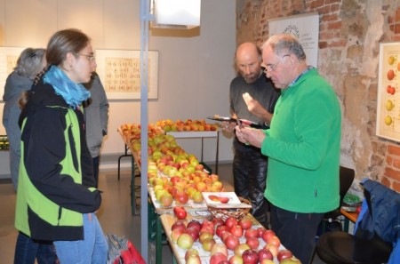 Pomologe Jürgen Mortag, im Bild rechts, kostet einen mitgebrachten Apfel um entscheiden zu können, ob die vermutete Sorte auch mit dem ihm bekannten Geschmack übereinstimmt. Foto: Bund Lemgo 