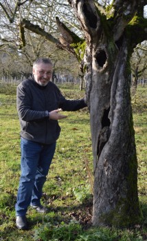 Foto BUND Lemgo - Hans-Georg Kosel bewundert den alten Apfelbaum eines Westfälischen Gülderlings