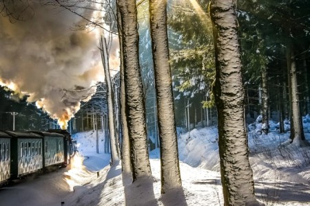 Auch die Dampfbahnen der Region laden zu winterlichen Ausflügen ein.