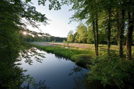 Dalkeaue-Stadtpark_008_2009-b0515a68d3abb2fg340a9afcc4cbf87b