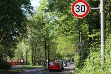 Mit dem Frühling beginnt an den Paderborner Fischteichen die Brutzeit der Enten. Damit die Tiere ihren Nachwuchs in Ruhe zur Welt bringen und die Jungtiere ungestört aufwachsen können, bittet die Stadt Paderborn die Bürgerinnen und Bürger um Rücksichtnahme.© Stadt Padernborn