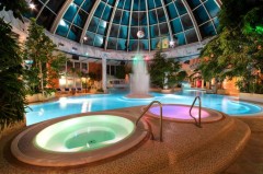 therme22 web