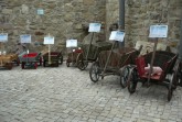 kleinelemgoer