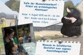 sommermuseum