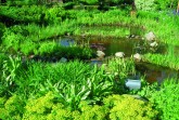Der Garten Arendt, Ortsteil Wüsten