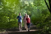 Bad-Salzuflen-Wandern-im-Wald-Staatsbad-Salzuflen-A.Hub