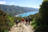 wandern-g