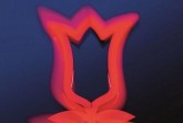 foto-i-jochen-tack-grugaturm-mit-tulpe