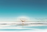 Bild_Timo-Roth_2 (1)