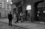 Deep-Gold_04 (1)