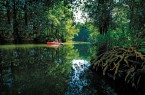 Paddeltour durch urw¸chsigen Wald, Peene, Vorpommern, Foto TMV
