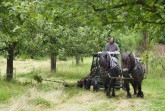 2017_07 Wiesenmahd