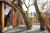 Das Baumhaus ist in eine Baumkrone gebaut wordenCopyright: © imago /Gabi Sonnenschein
