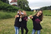 Die-Weserwiesen-sind-beliebt