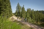 Familienradtour Bähnle-Radweg im Hochschwarzwald nah © TMBW_Duepper